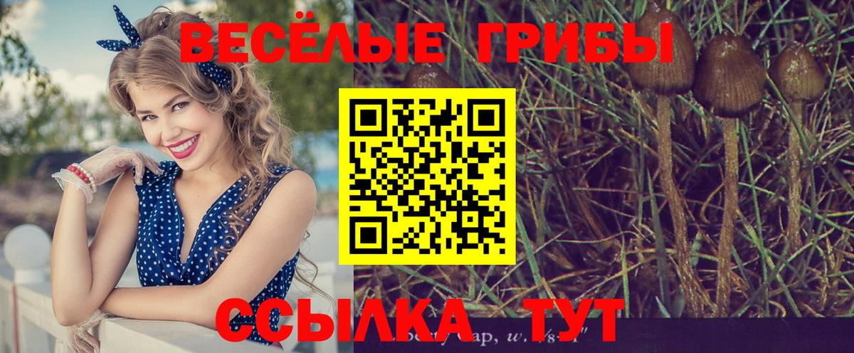 Галлюциногенные грибы мухоморы Биробиджан